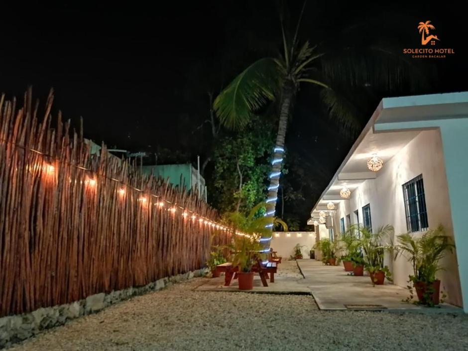 Hotel Apartaments Solecito Bacalar - Free Bikes & Paddle Exteriör bild